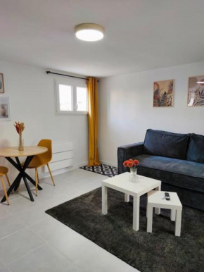 Grand studio cosy proche Paris
